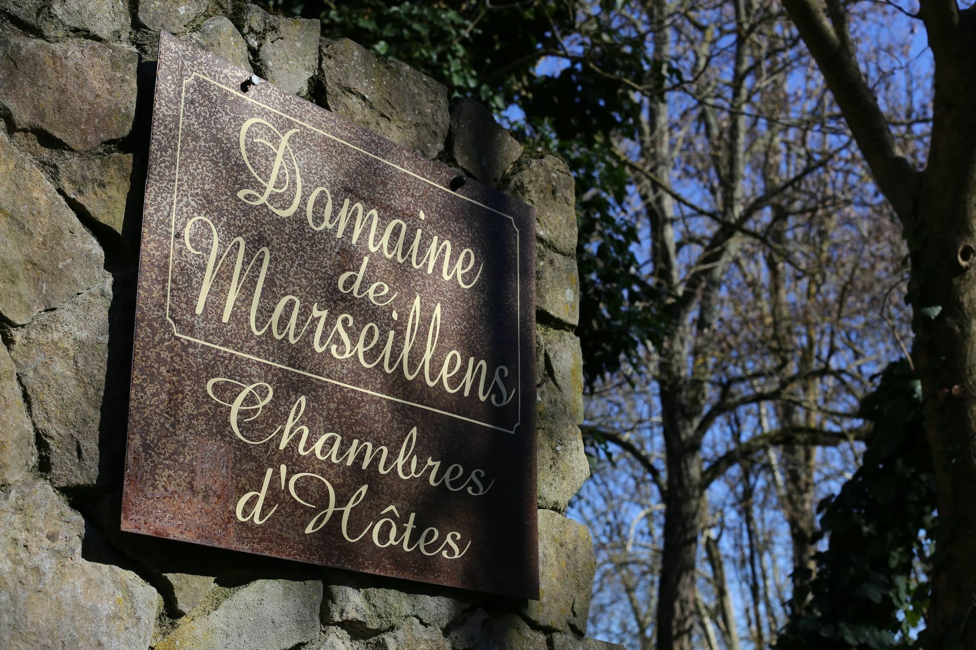 Domaine De Marseillens Bed and Breakfast Palaja Exteriör bild
